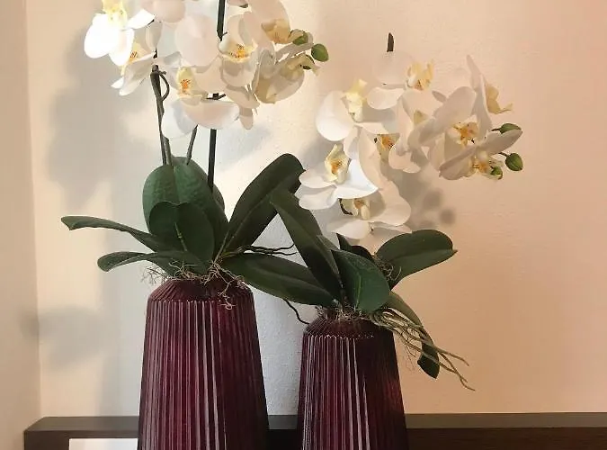 Porta Borsari Relais 4*