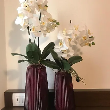 Porta Borsari Relais 4*